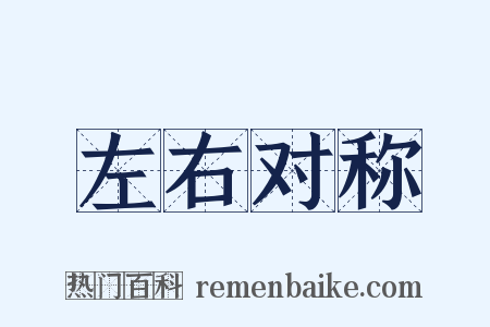 左右对称是什么意思的图片